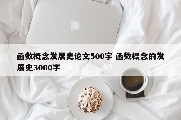 函数概念发展史论文500字 函数概念的发展史3000字