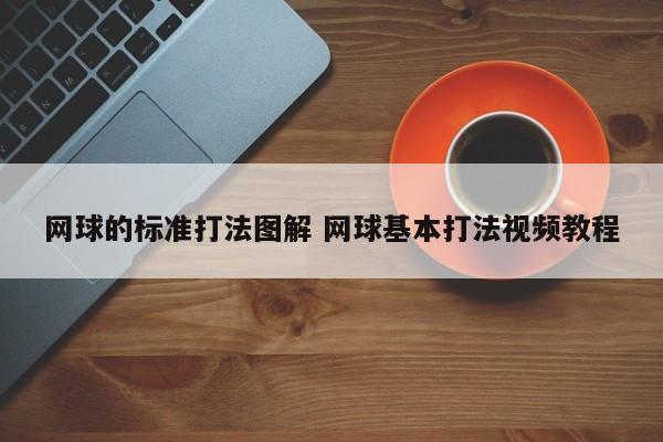 网球的标准打法图解 网球基本打法视频教程