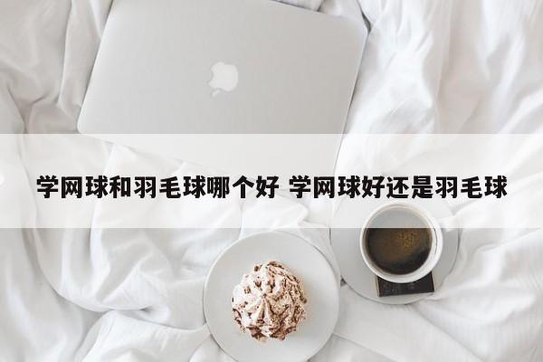 学网球和羽毛球哪个好 学网球好还是羽毛球